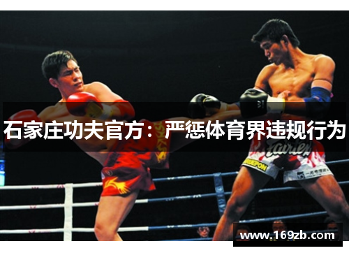 石家庄功夫官方：严惩体育界违规行为