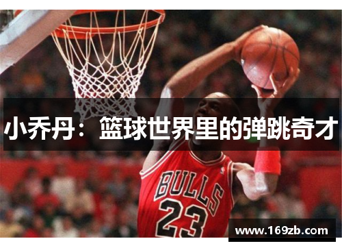 小乔丹：篮球世界里的弹跳奇才